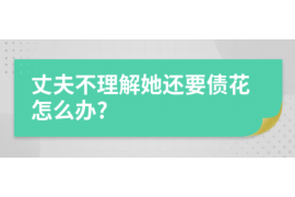 辽源辽源的要账公司在催收过程中的策略和技巧有哪些？